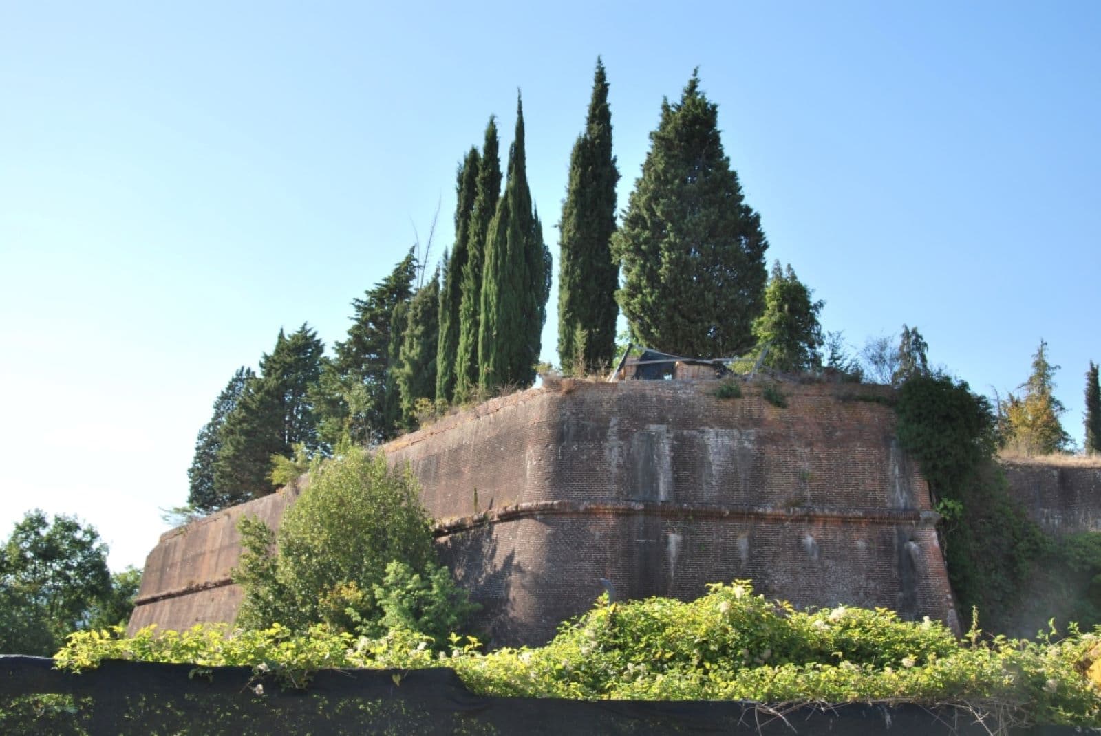 Sulle strade del mondiale 2013
