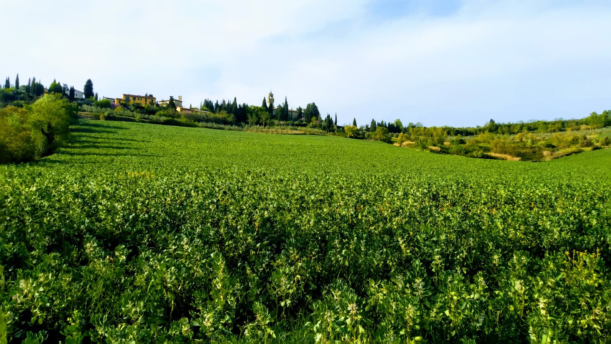 Hiking tour around Montegufoni Castle