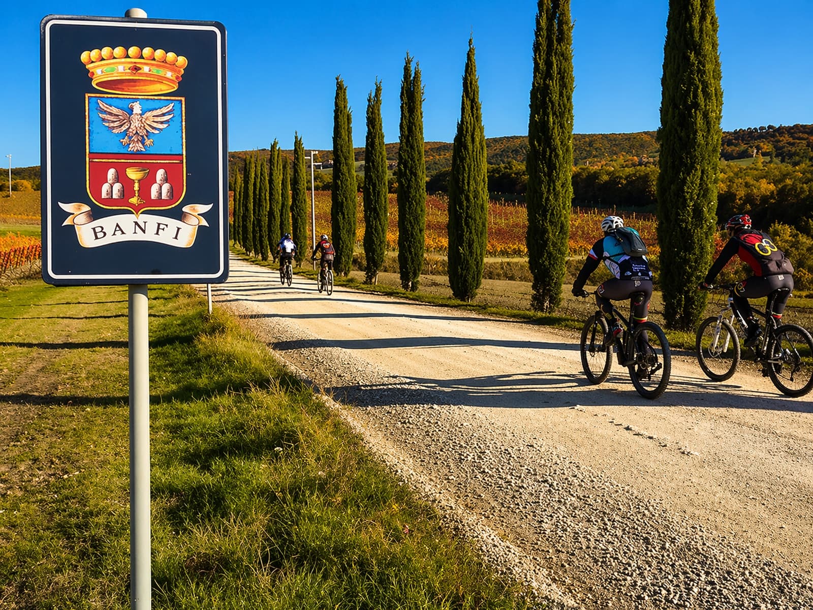 cyclists in the Val d'Orcia