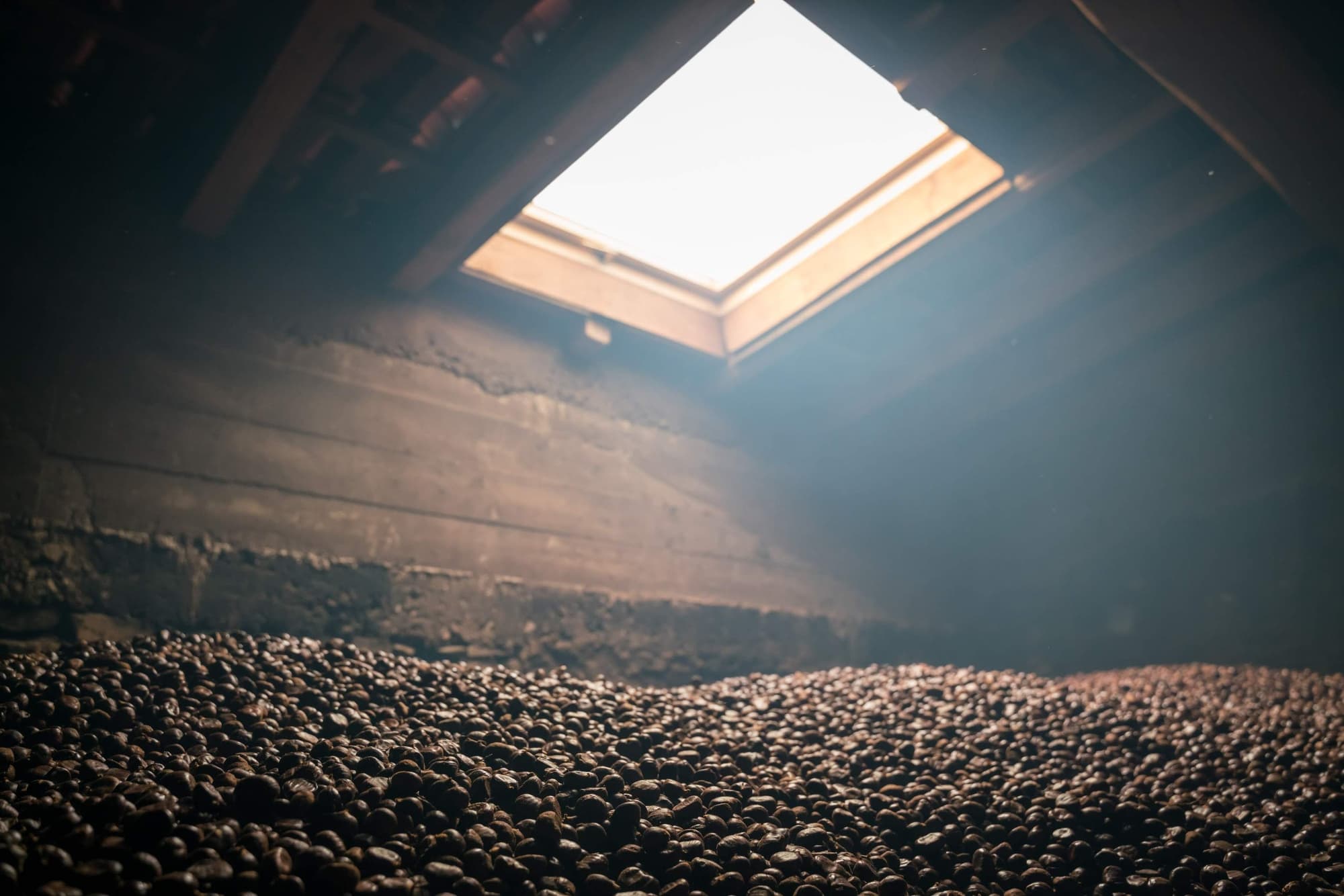 Chestnut processing