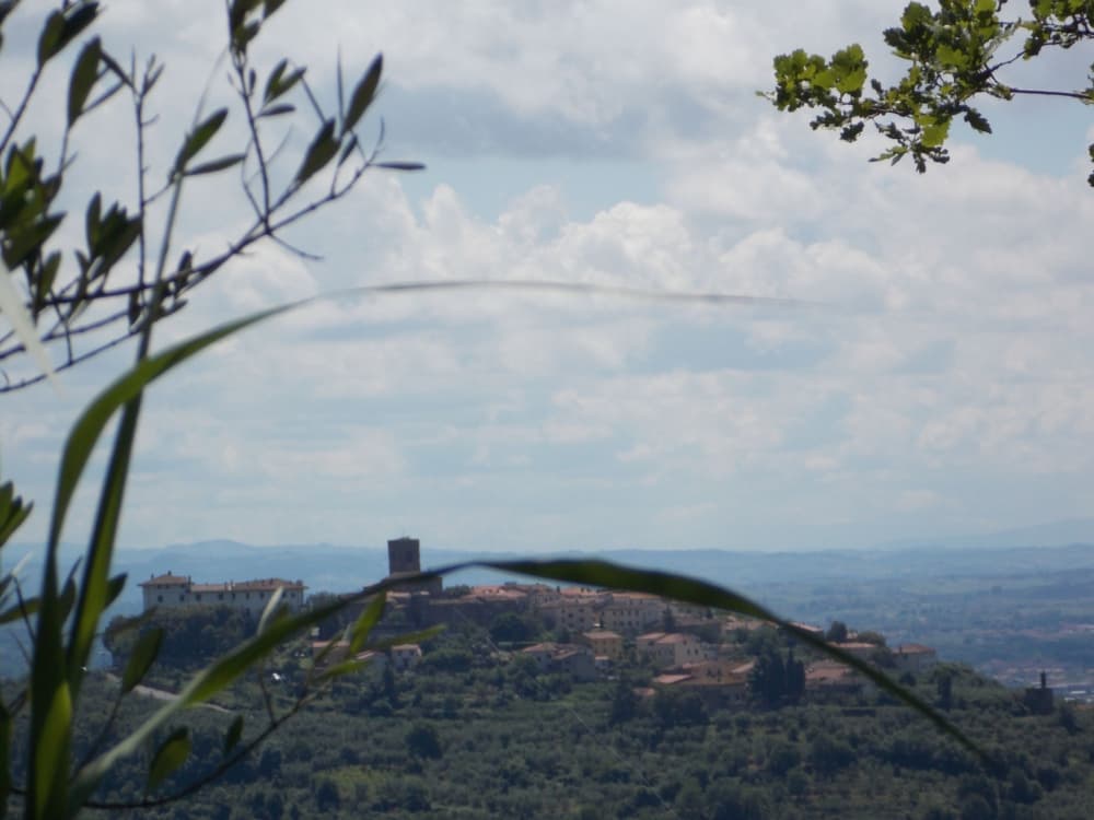Panorama di Monsummano Terme