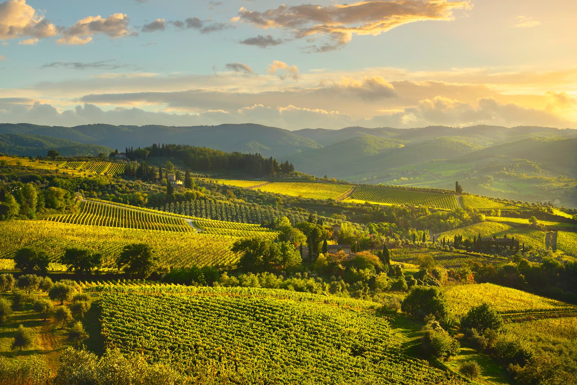 Summer in chianti