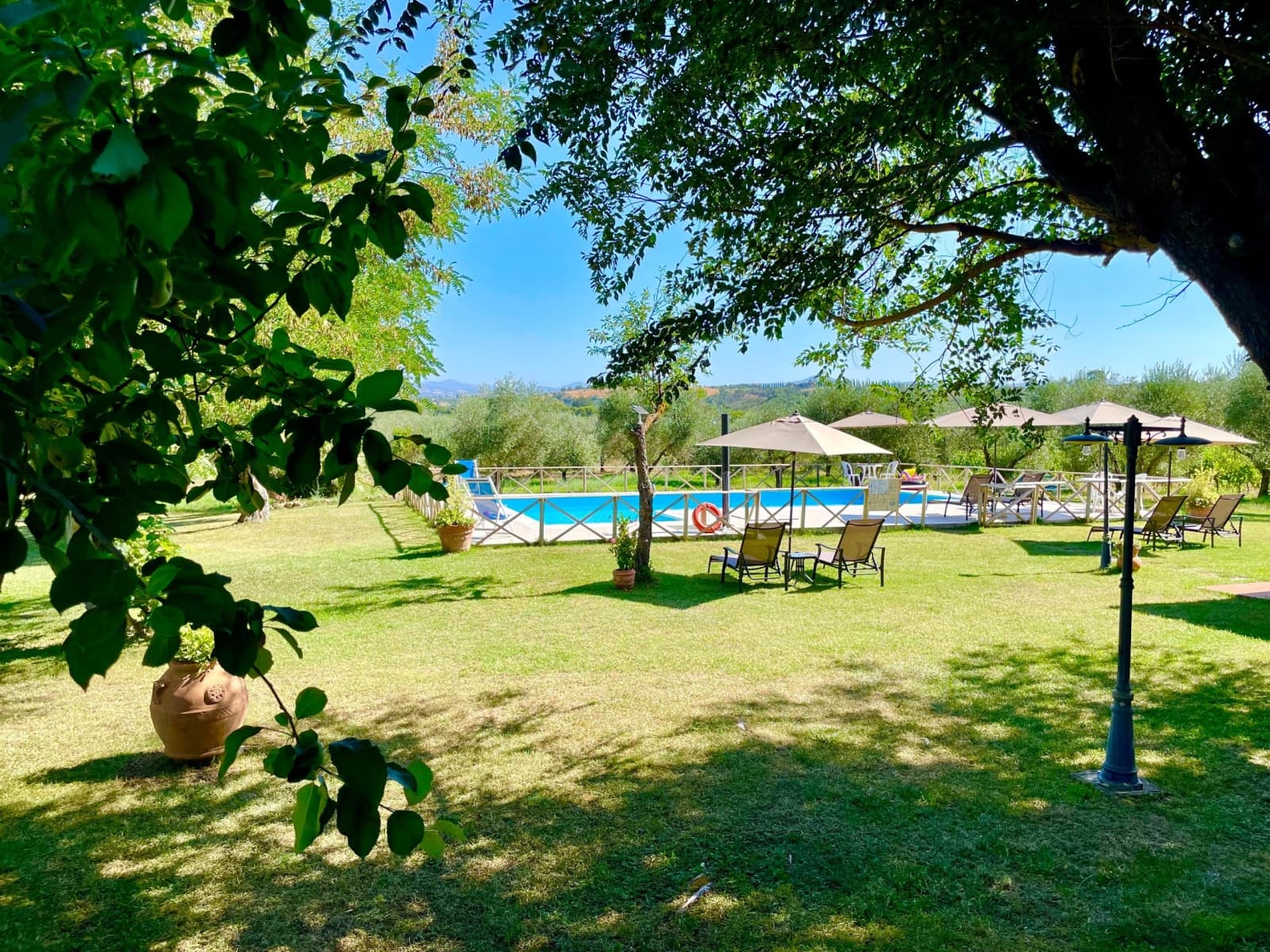 giardino verde con piscina, ombrelloni e sdraio