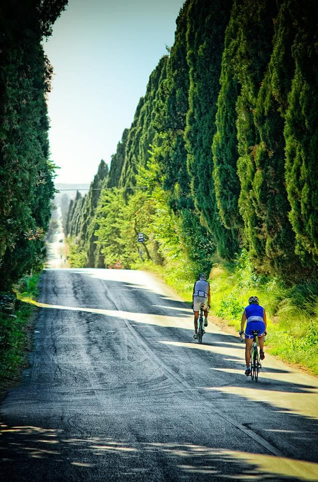 Due ciclisti percorrono il celebre viale dei cipressi di Bolgheri