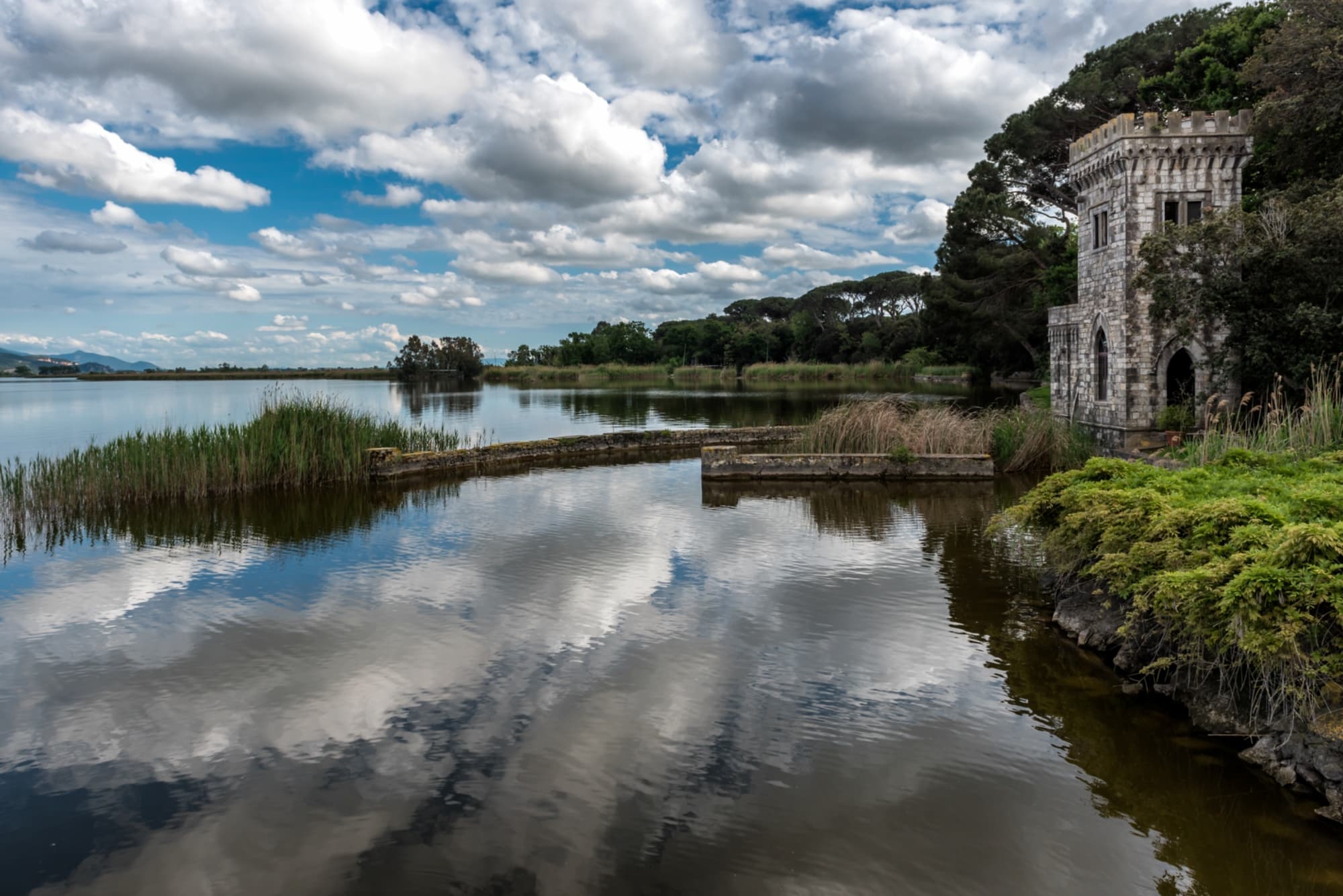 Parco Regionale di Migliarino San Rossore e Massaciuccoli