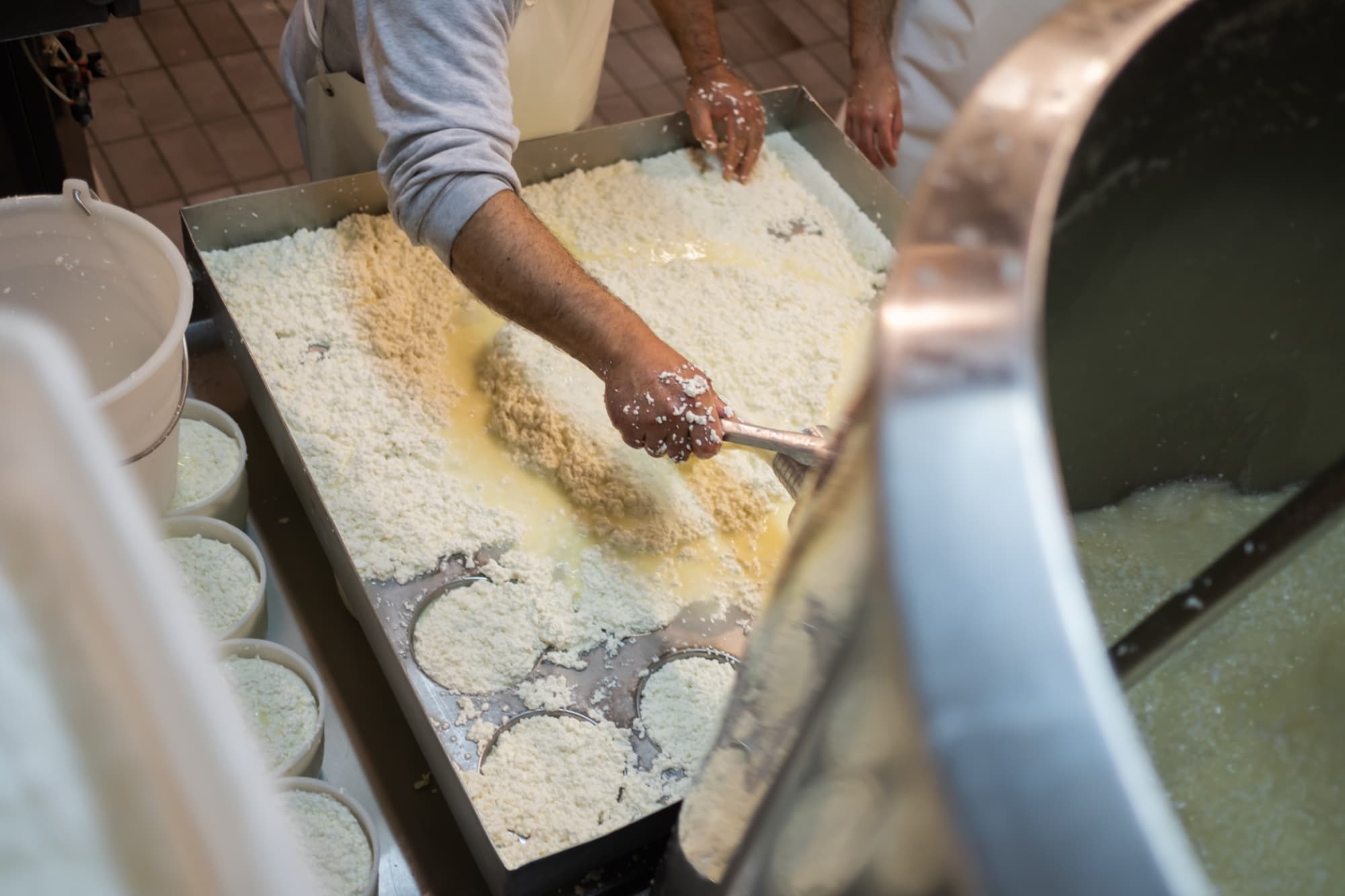 Las fases de elaboración del Pecorino delle Balze Volterrane DOP