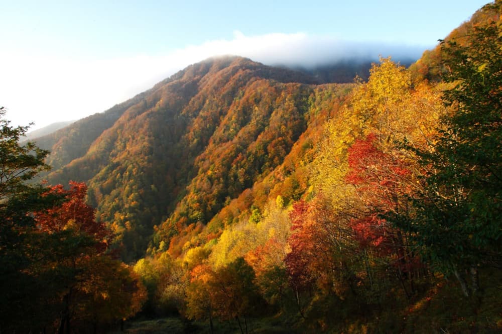 Il Casentino in autunno