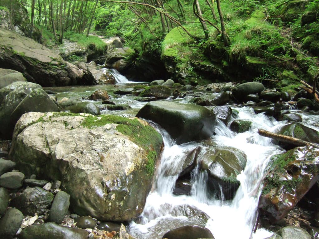 Wasser, das zwischen großen moosbewachsenen Felsen und dichter grüner Vegetation in der Botri-Schlucht fließt.