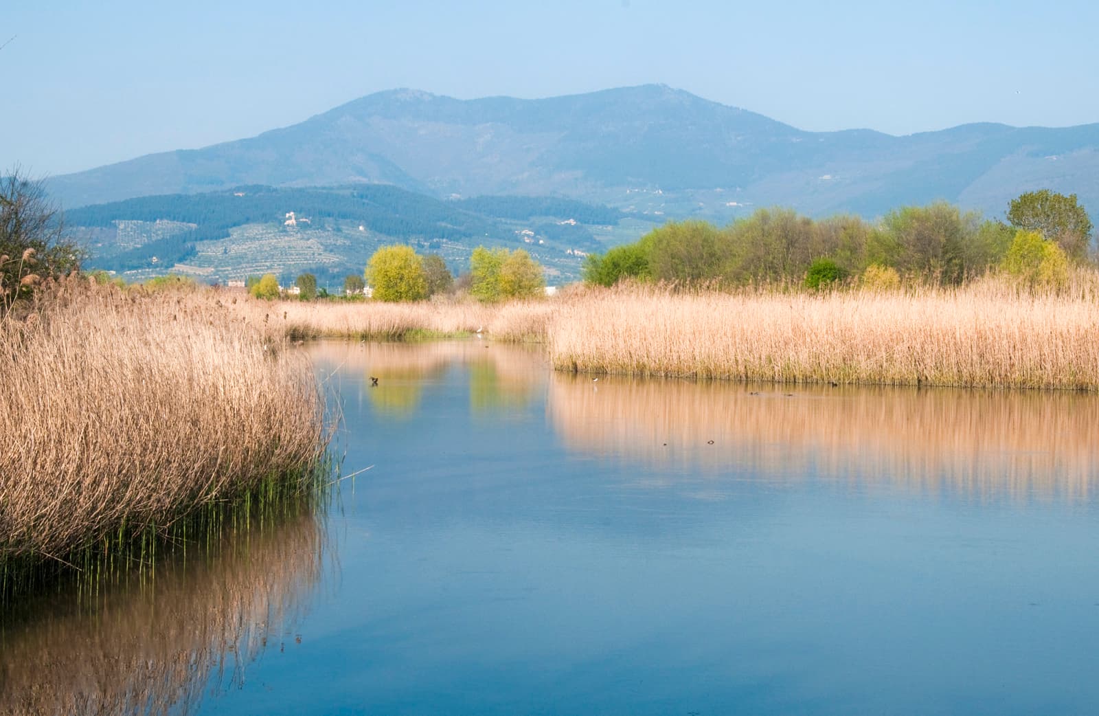 Seen-Naturschutzgebiet von Focognano in Campi Bisenzio
