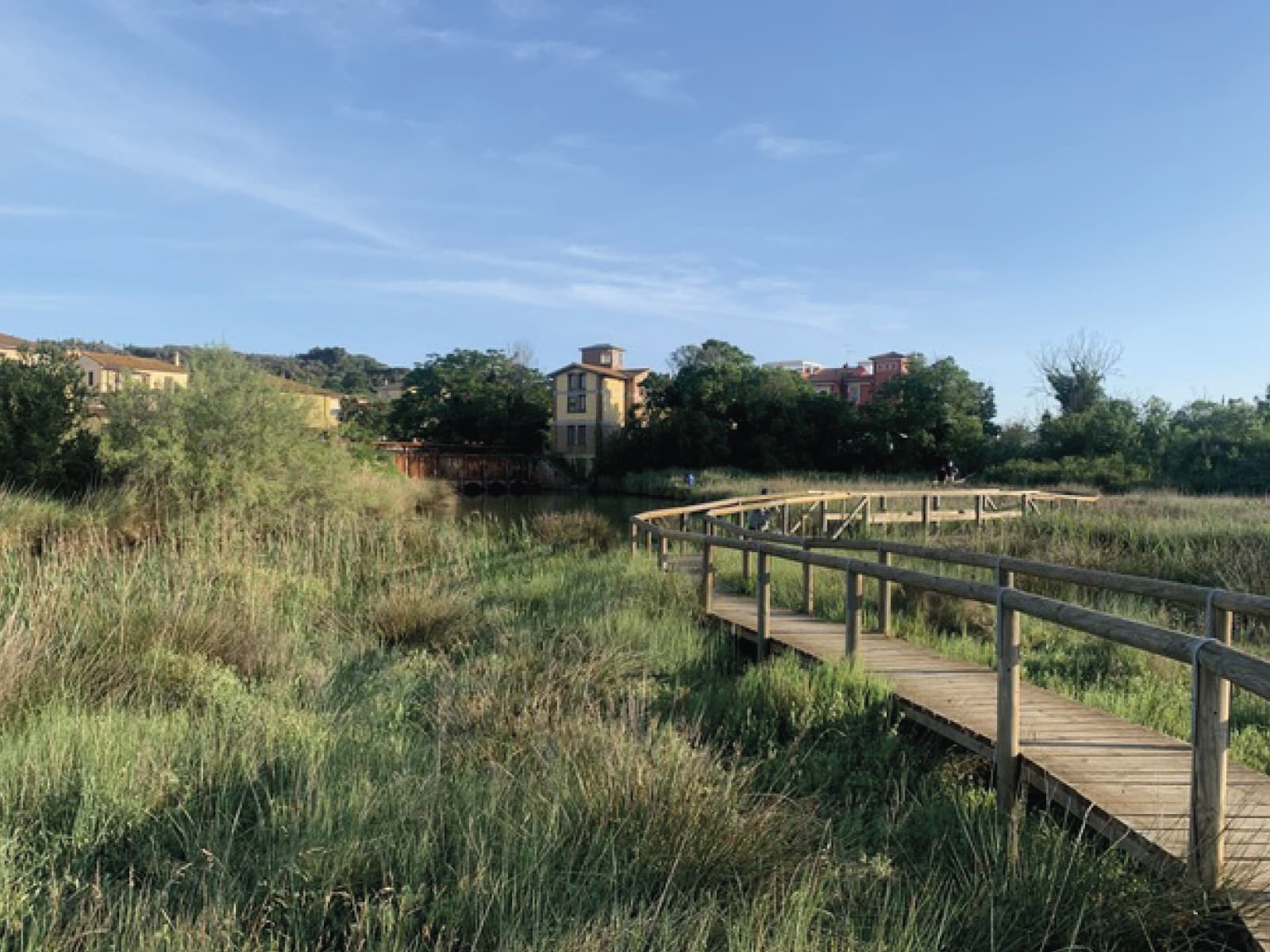Padule di Scarlino