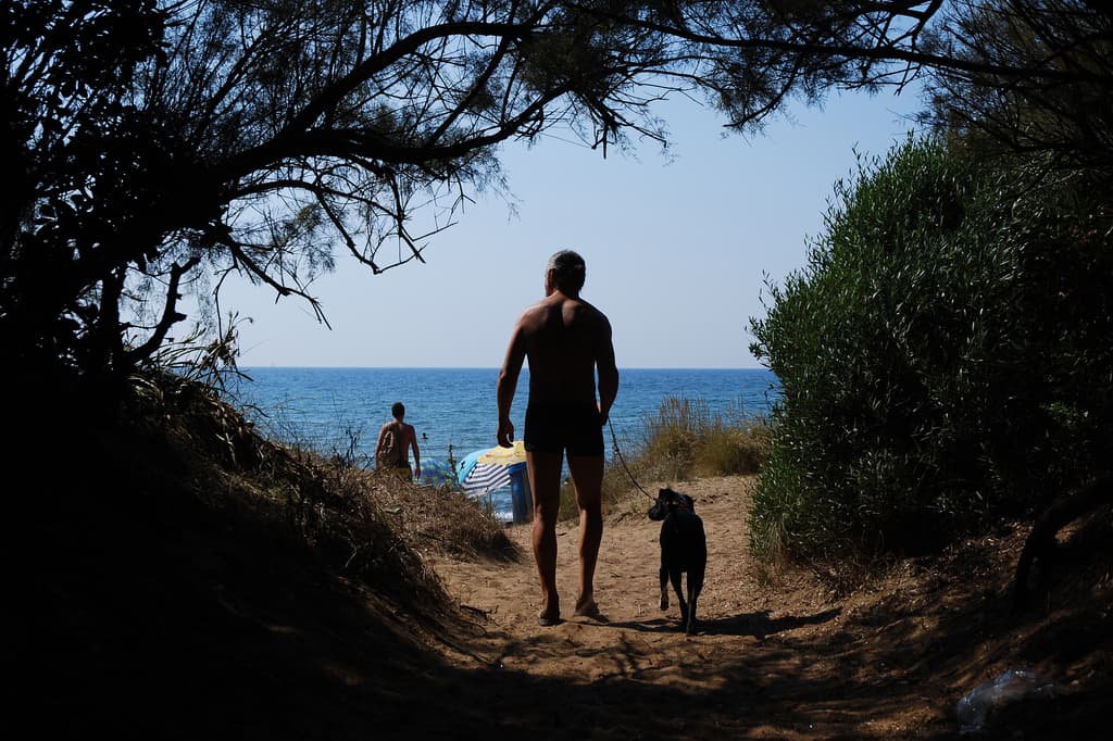 In spiaggia con il cane