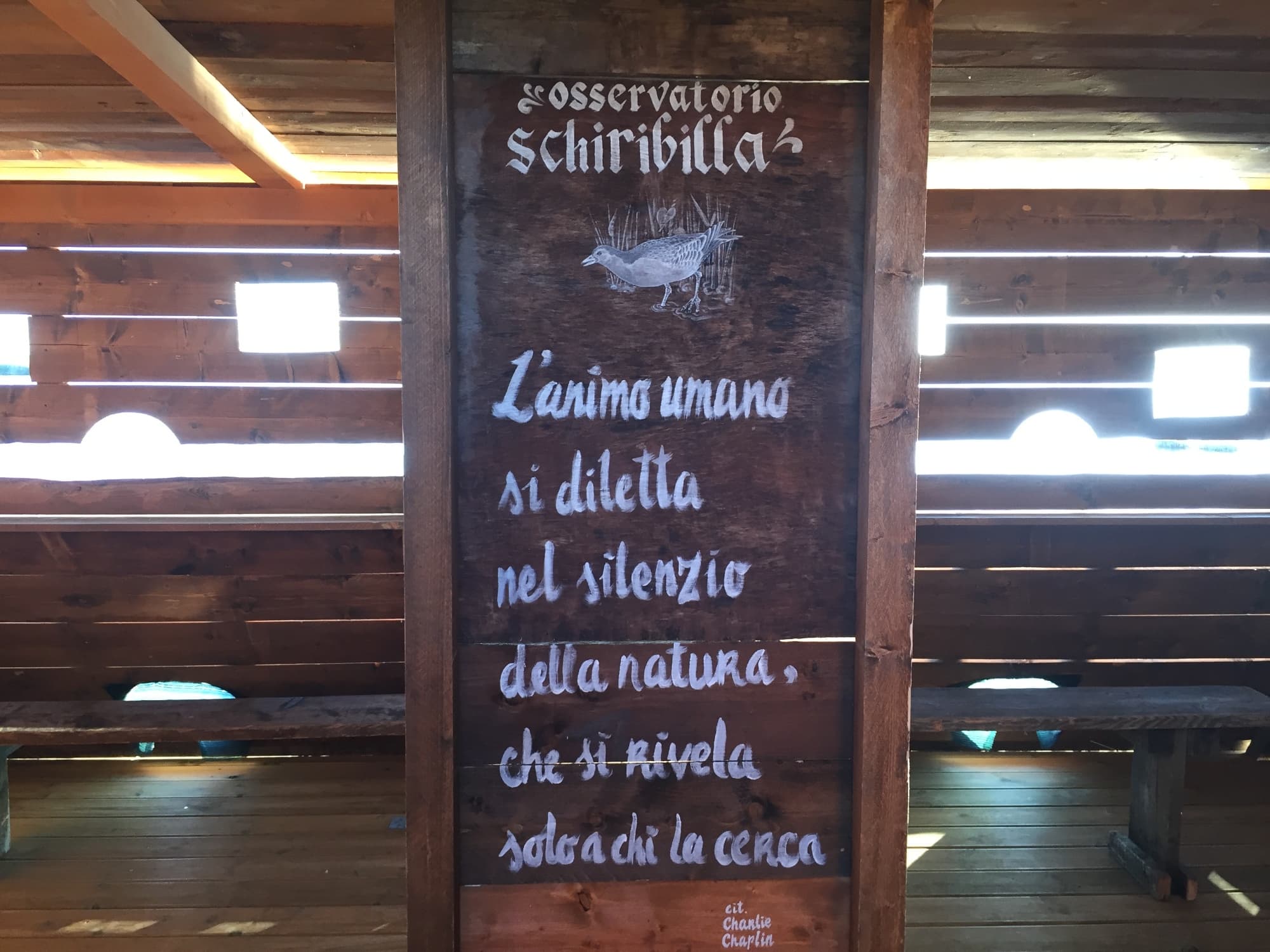 Visita all'area archeologica e alla riserva del Chiarone nel territorio del lago di Massaciuccoli