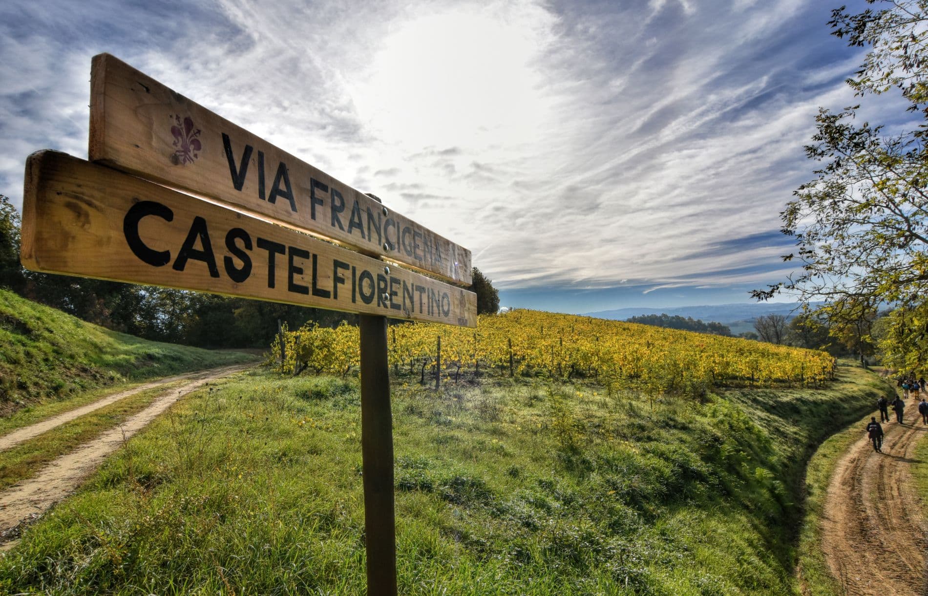 francigena-pieve-coiano-2