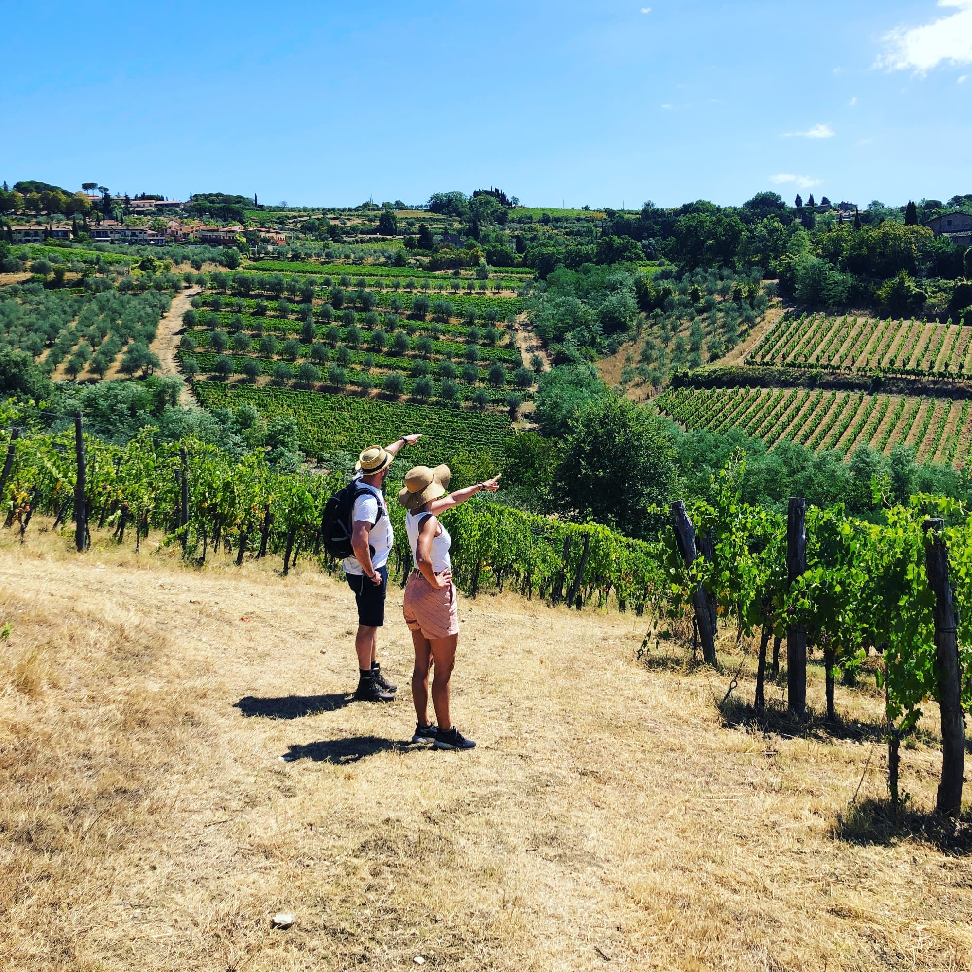 Trekking nel Chianti Classico tra vigneti e oliveti con degustazione di vini