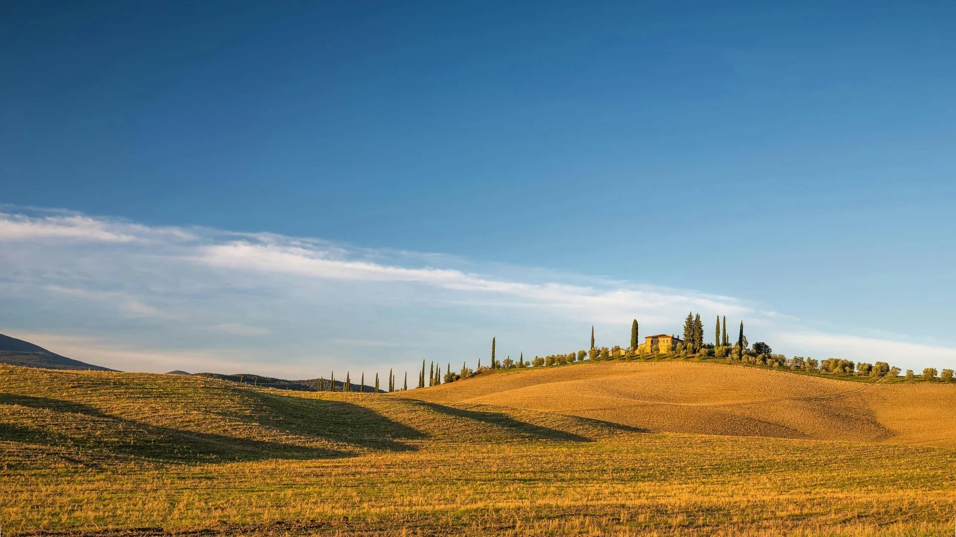 Sole d’Oro: luxury cycling & team-building experience in Tuscany