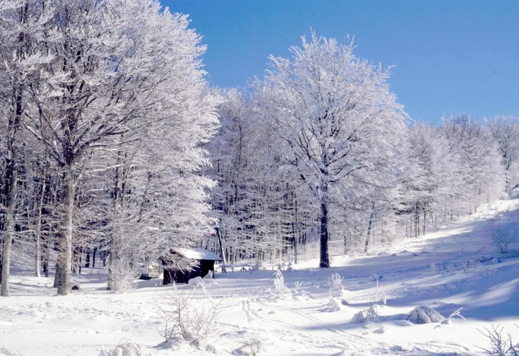 La Montaña Amiata en invierno