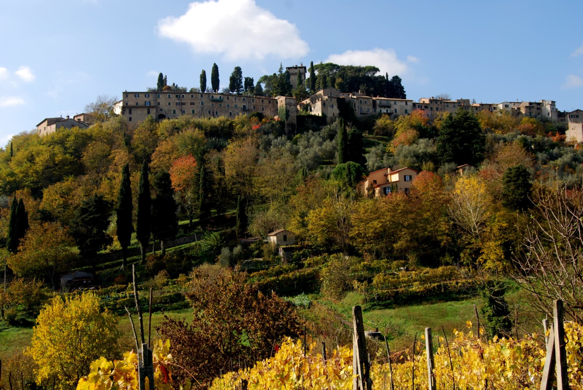 View of Cetona