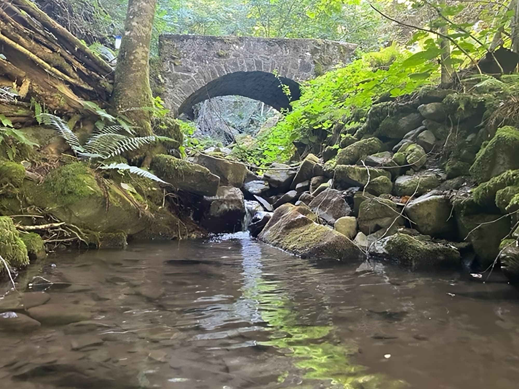 Uno degli attraversamenti del sentiero dell'Acqua: da Ponte della Venturina a Pracchia