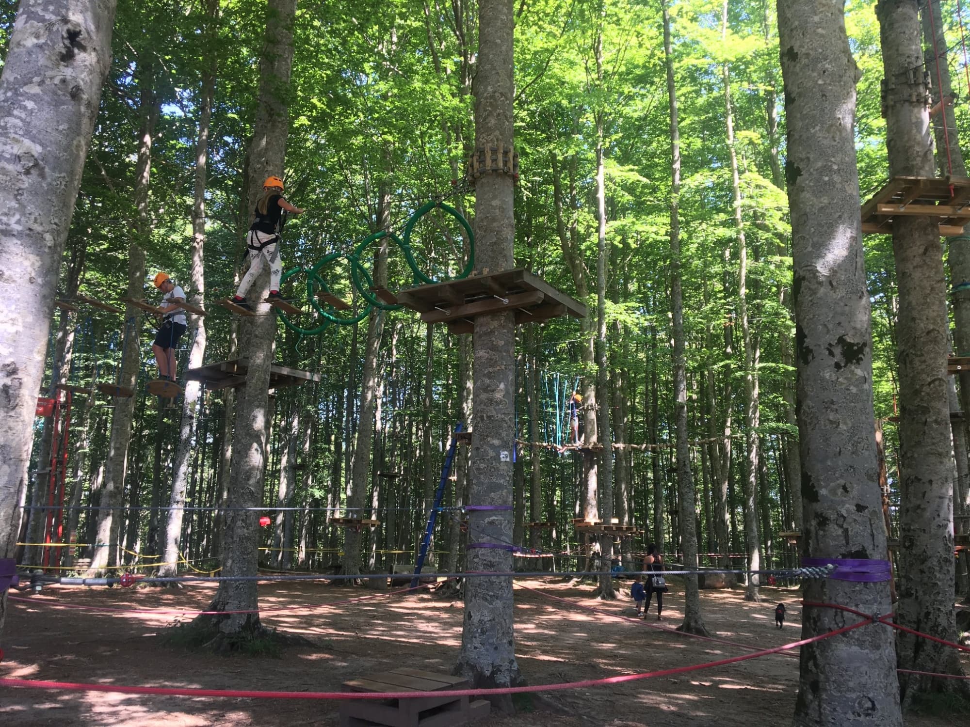 Parco Avventura Indiana Park Amiata