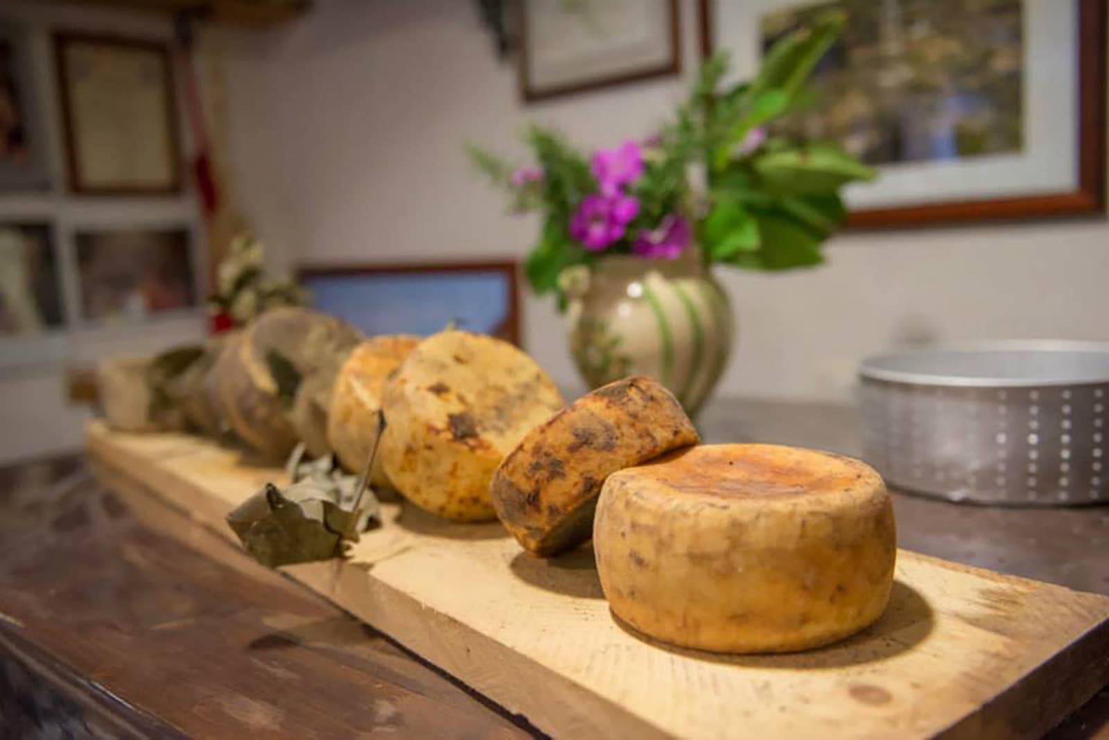 Cooking class in Cortona. Learn how to make homemade cheese 