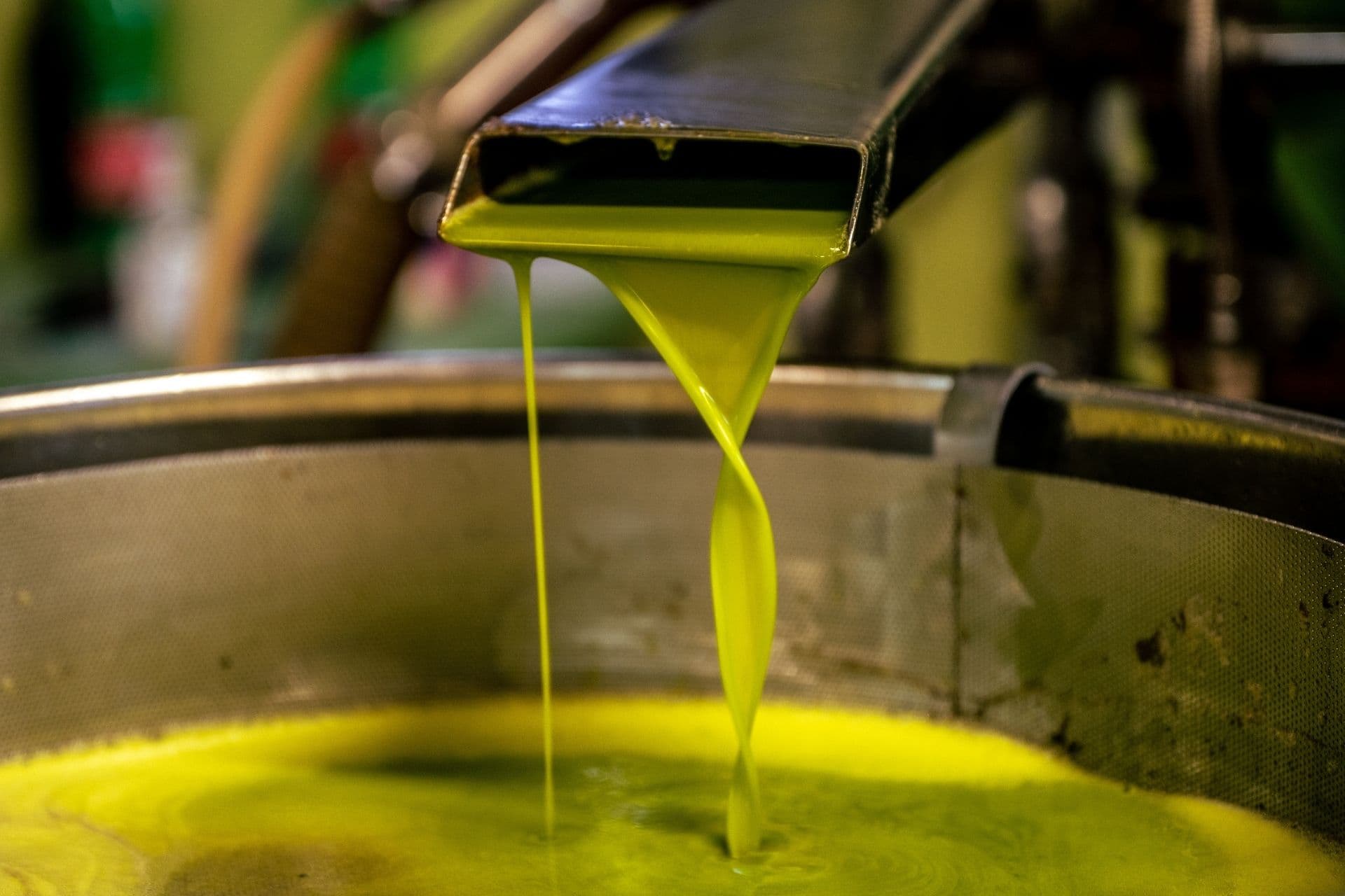 Educational Tour extra virgin olive oil