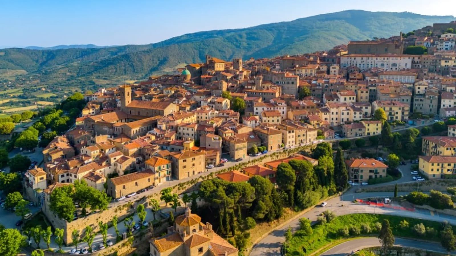 Vista aerea di un borgo