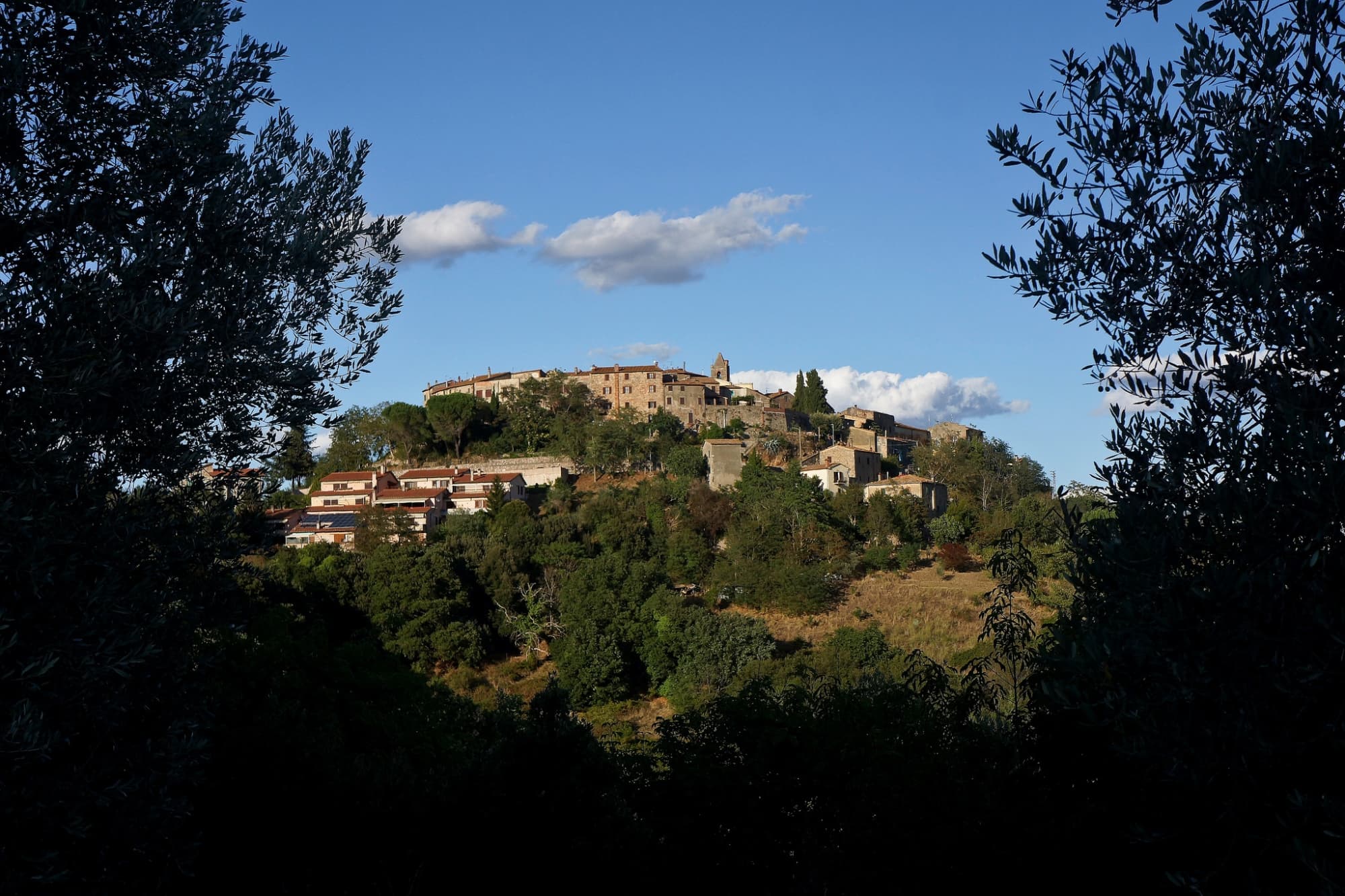 montorsaio