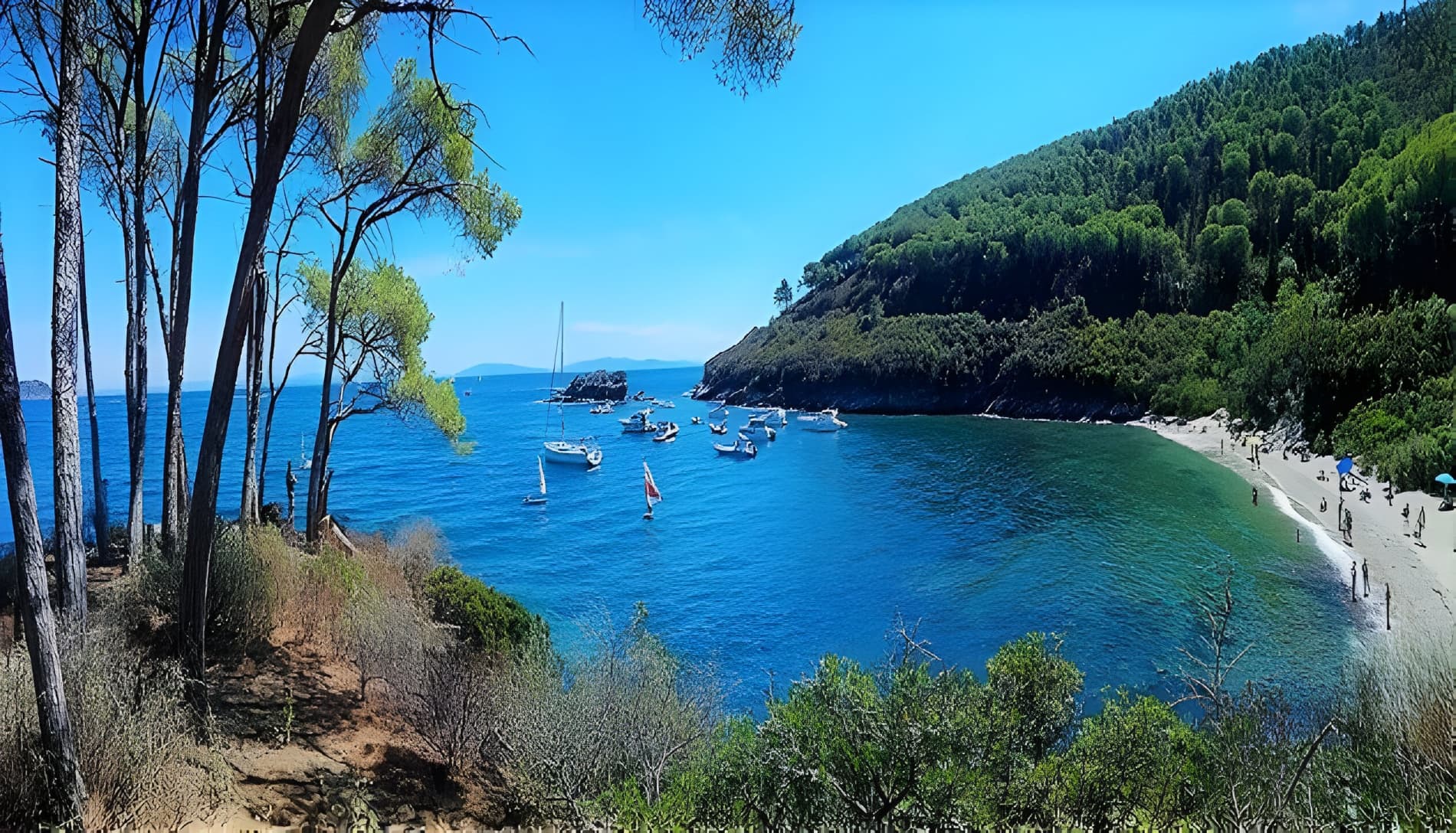 Estate a Capoliveri: la tua oasi di relax vicino al mare!