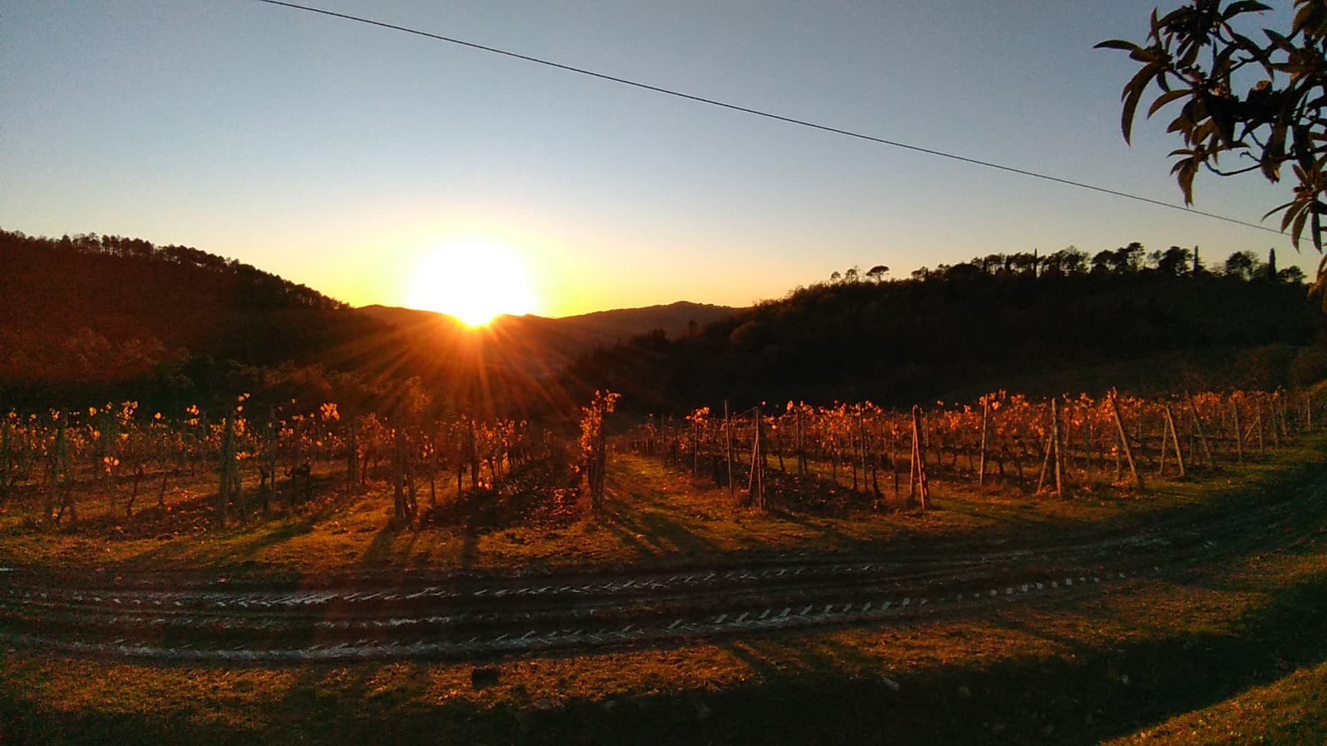 Tour privato del Chianti al tramonto (con degustazioni)