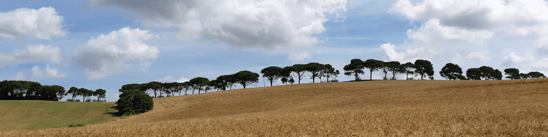 Il paesaggio dei Macchiaioli