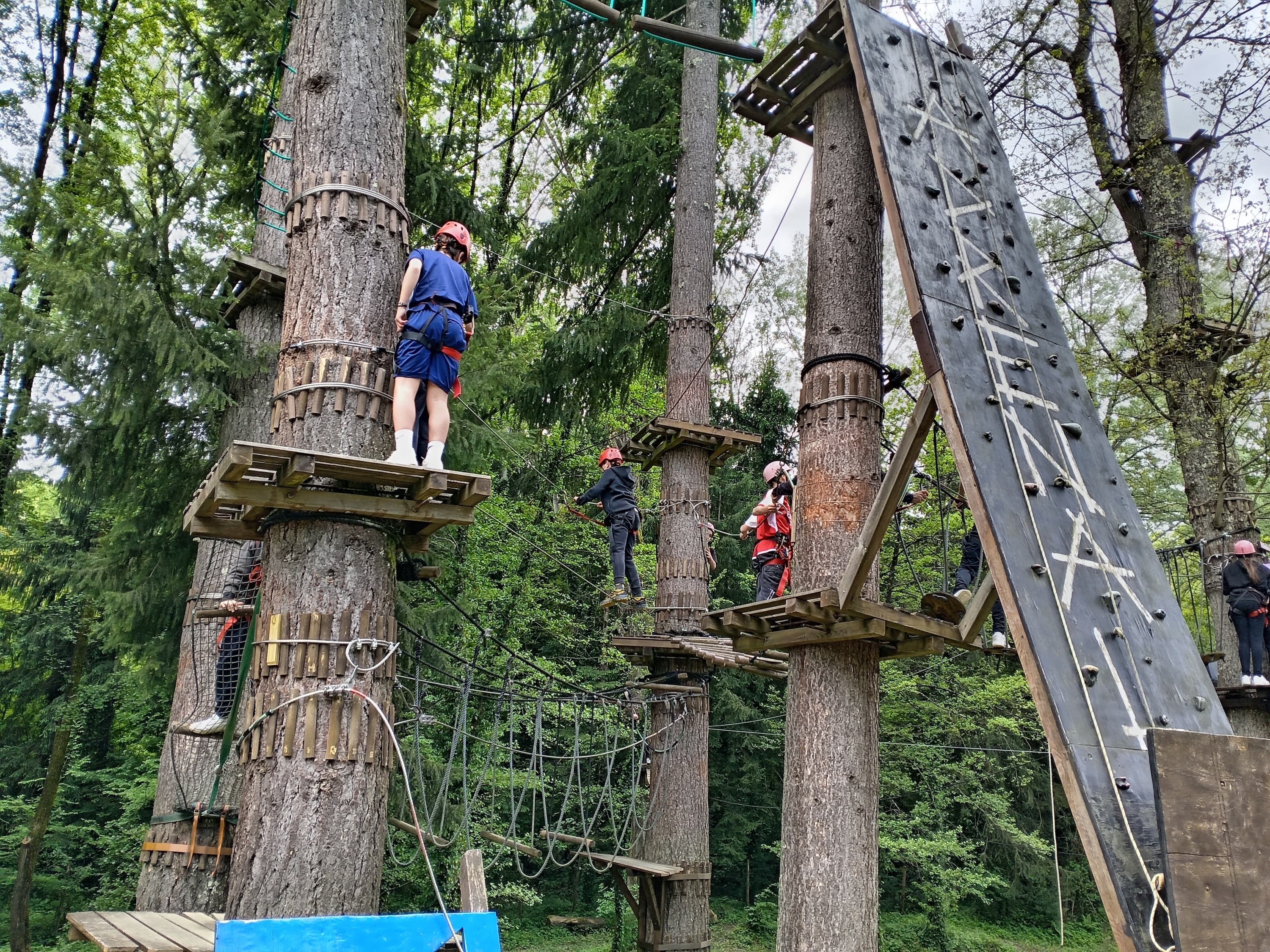 Percorso acrobatico sugli alberi