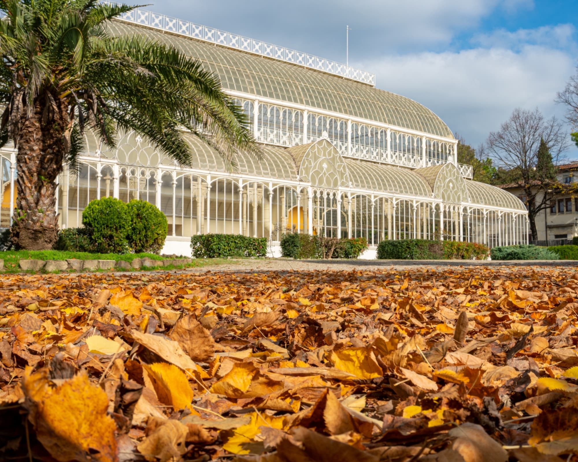 El tepidarium - Jardín de Horticultura