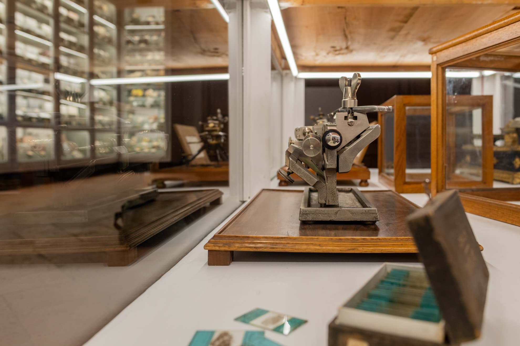 Science and Technology Foundation