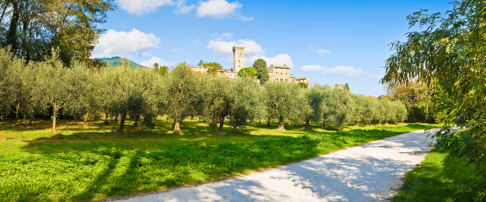 Vicopisano - Strada dell'olio - Terre di Pisa