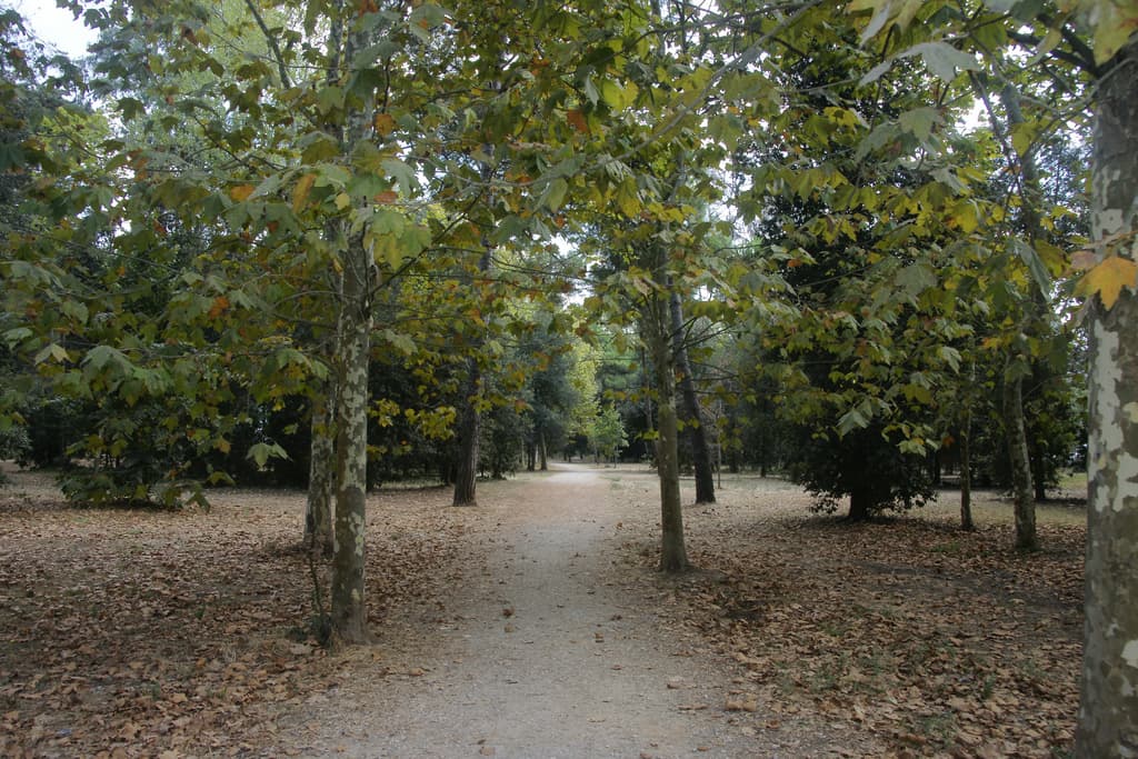 El Pinar de Poniente