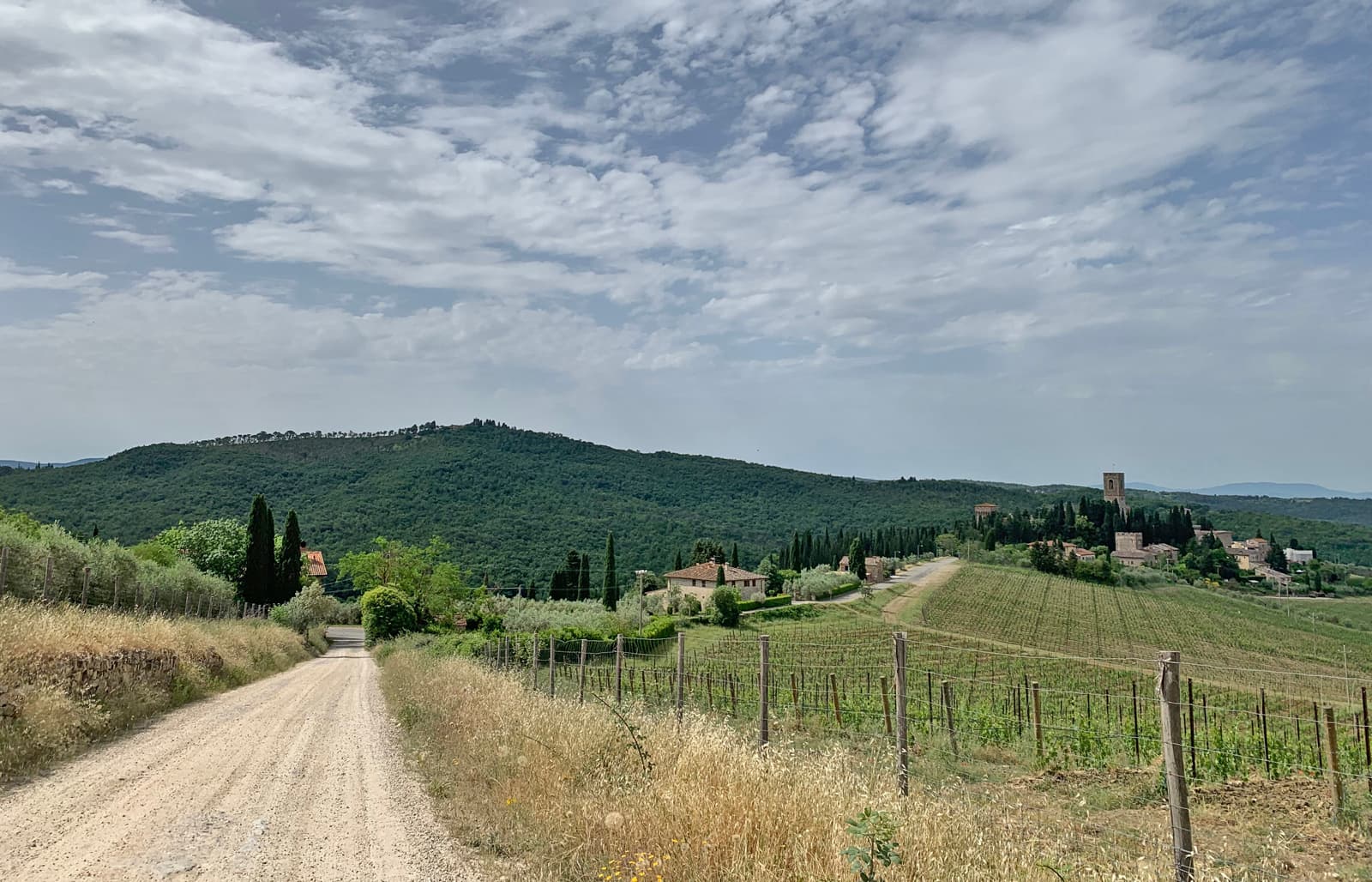 Panorama attorno alla Badia a Passignano