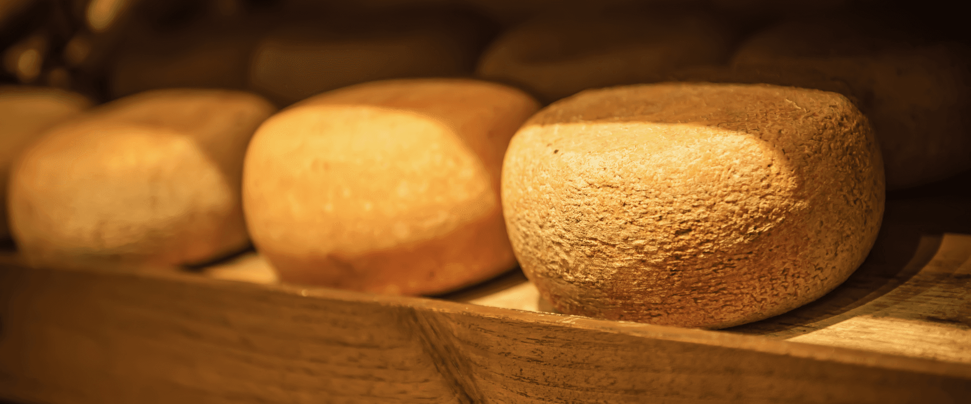 Enogastronomy in the Terre di Pisa