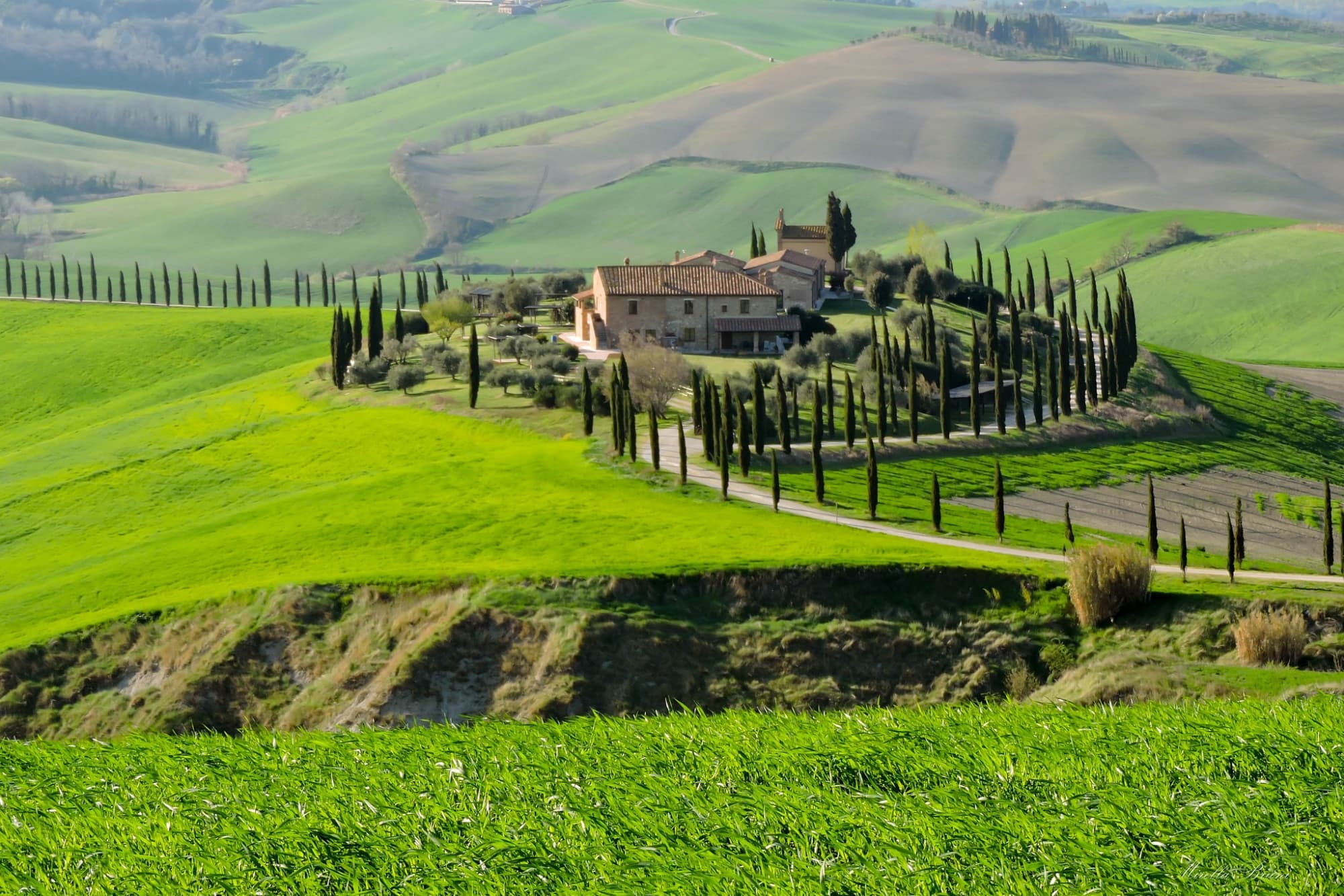Crete Senesi 