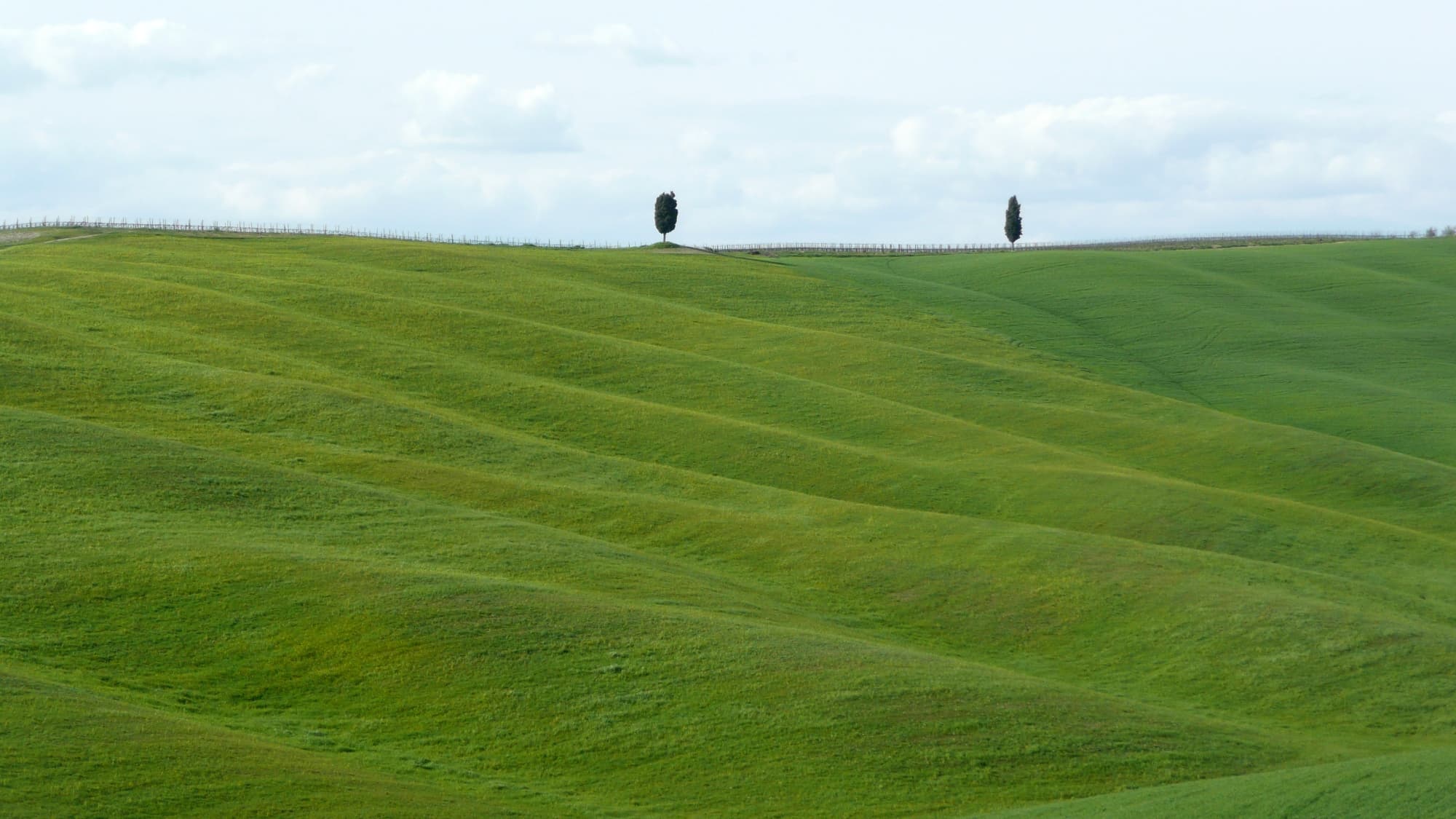 Campagne di San Quirico d'Orcia