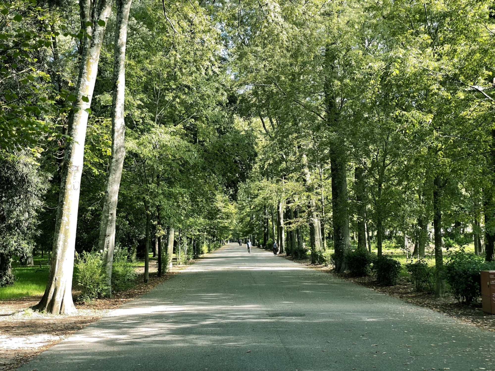Le rive dell'Arno Fiorentino sino al parco dei Renai