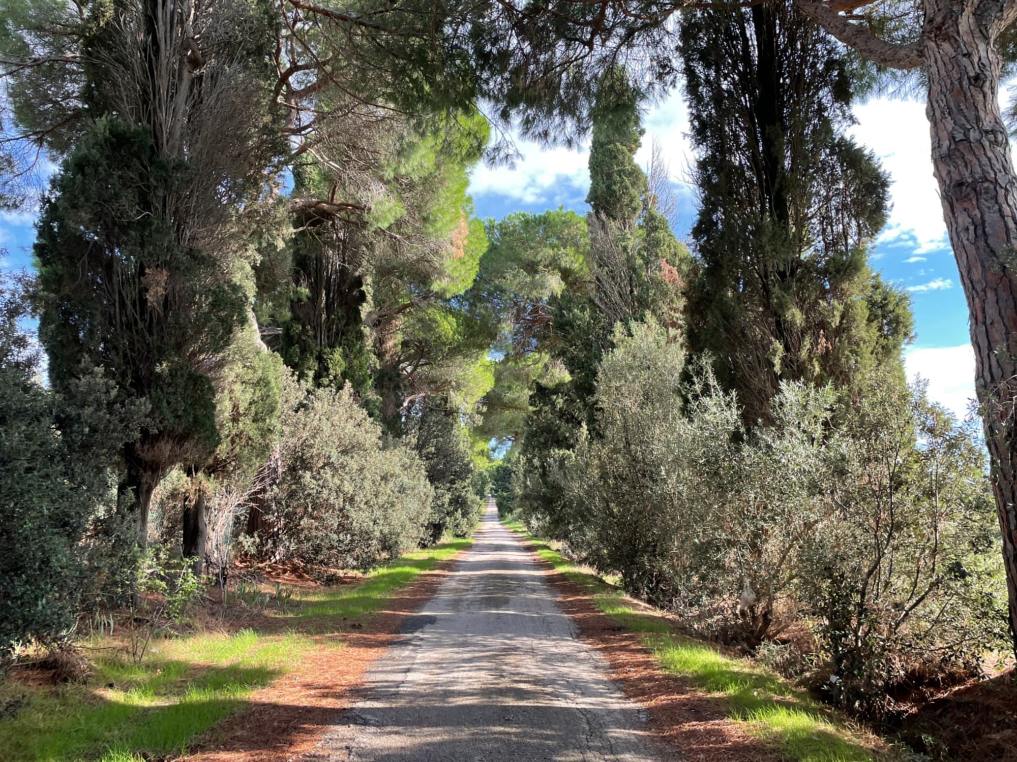 Grand Tour della Toscana in bicicletta