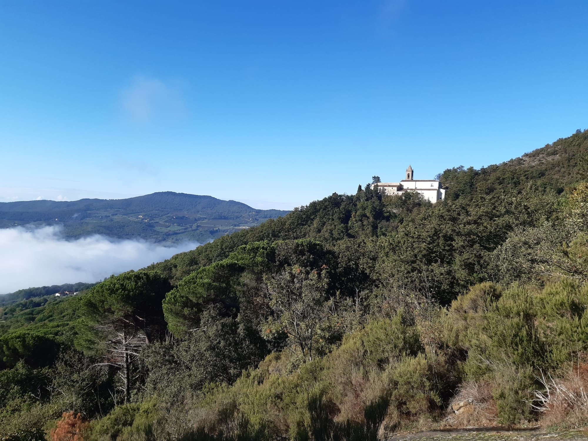 Santuario della Madonna del Sasso, Santa Brigida