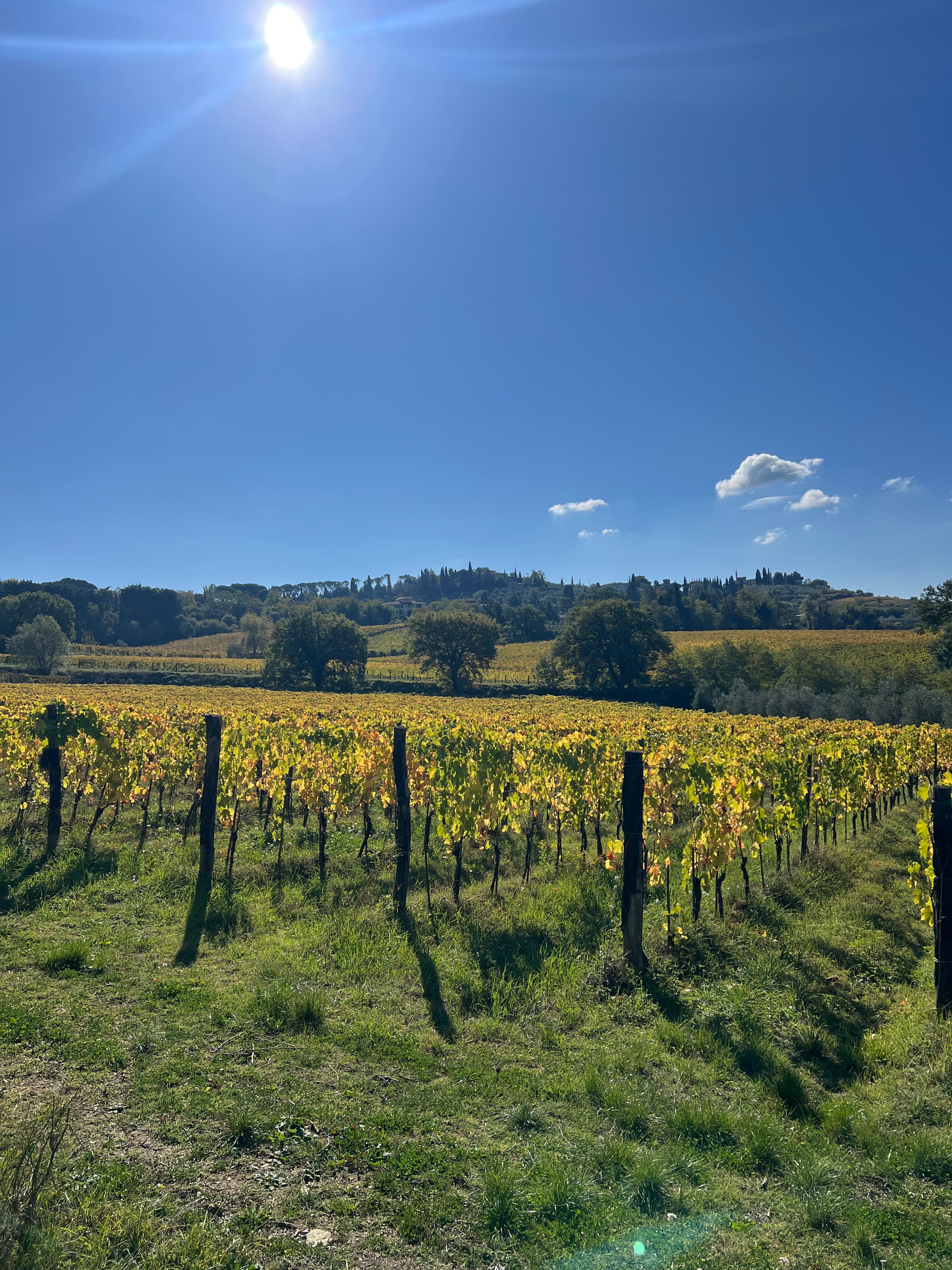 Wine tour in Chianti Classico from Firenze
