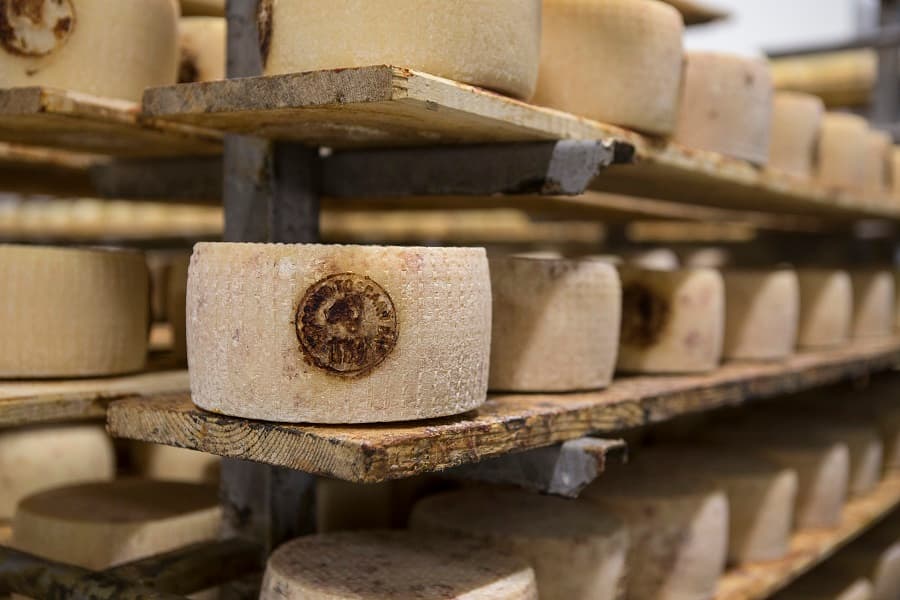 pecorino-toscano-4_wp5_16582.jpg