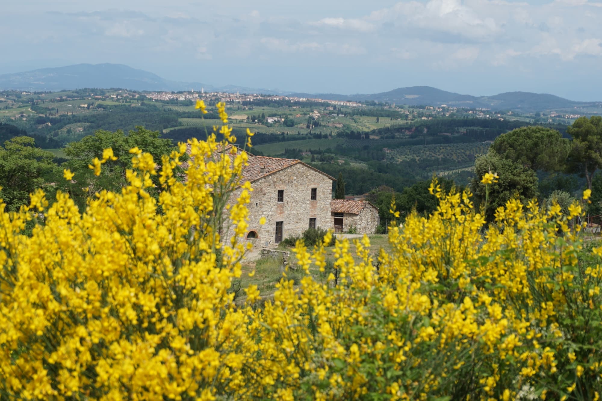 Trekking tra le meraviglie del Chianti Fiorentino
