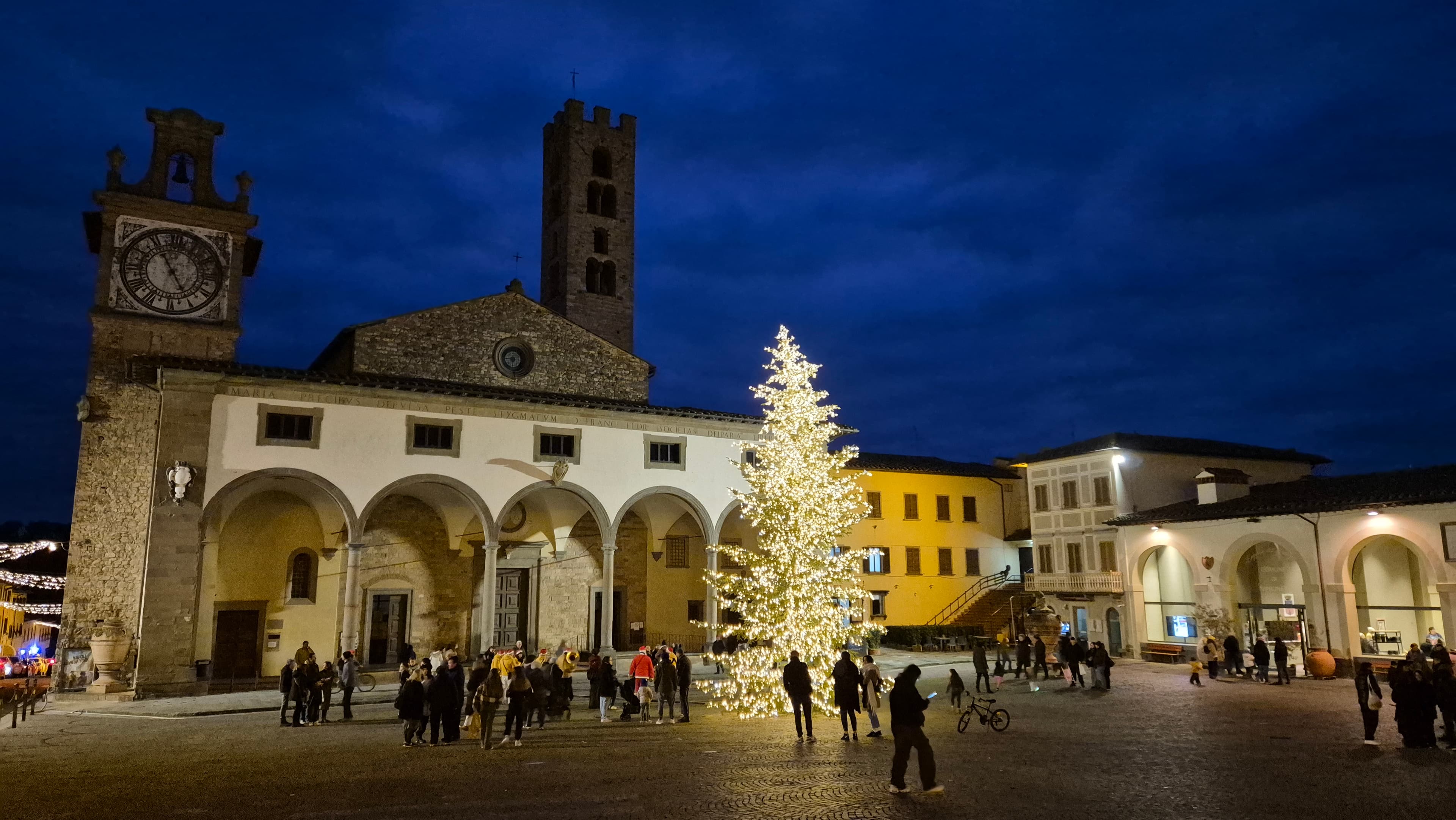 albero in piazza