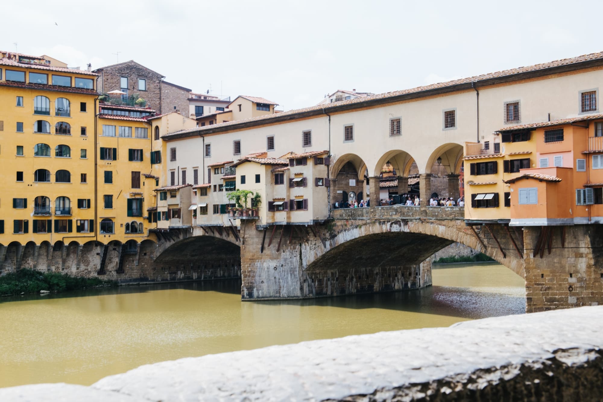 Excursion to Florence with entrance to the Accademia Museum with departure from Livorno