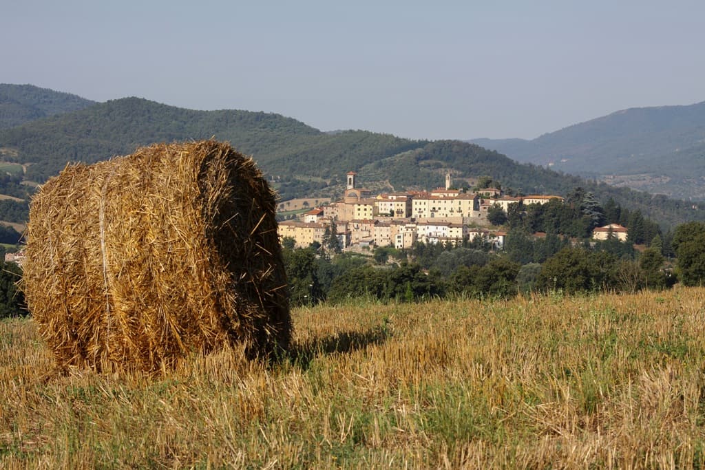 monterchi-picture_wp7_19058.jpg