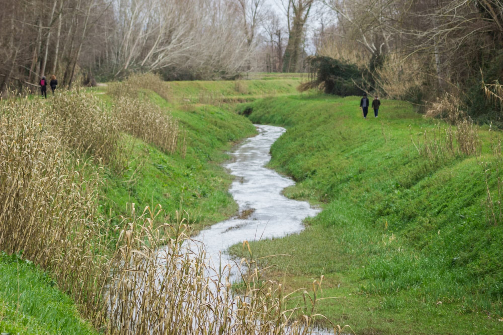 Lago de Porta