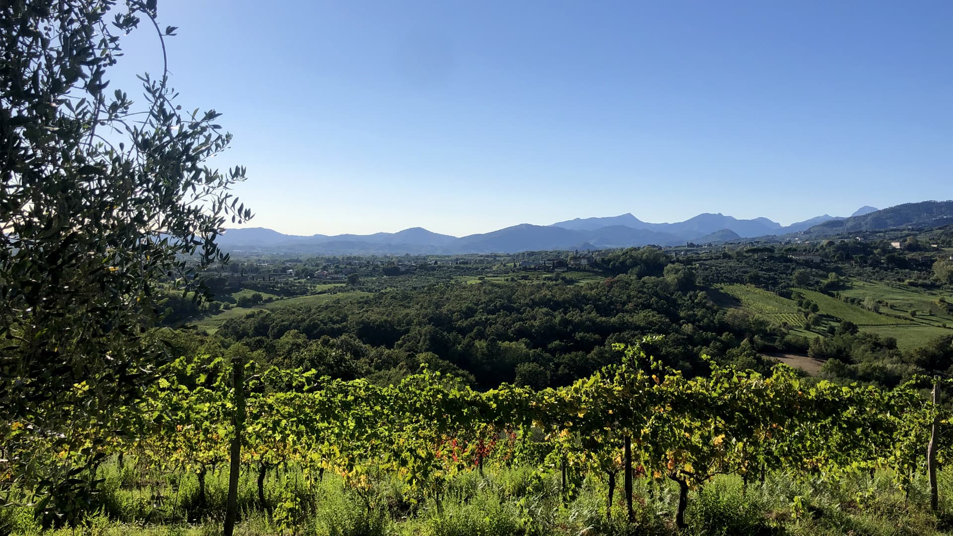 panorama dalle colline lucchesi - r.giomi